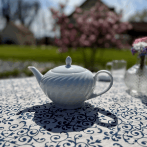 Théière en porcelaine blanche