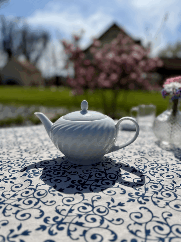 Théière en porcelaine blanche