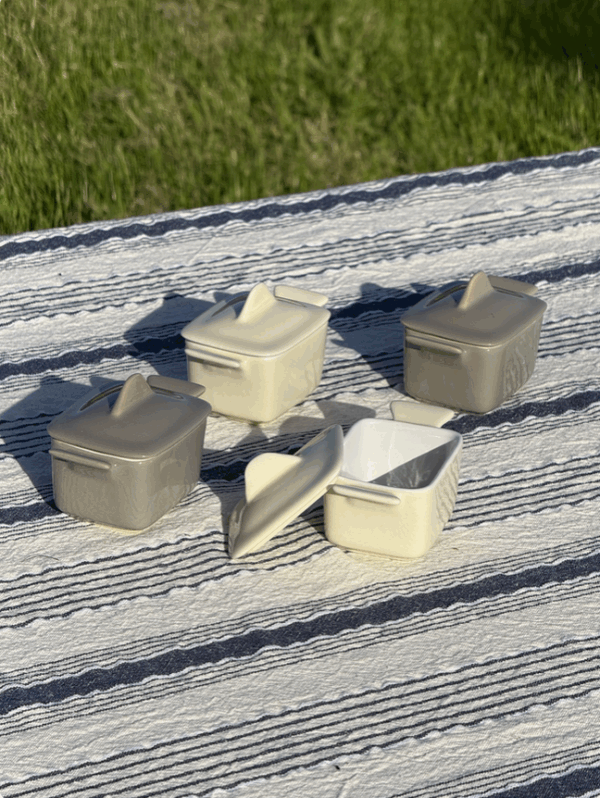 Cocotte rectangle