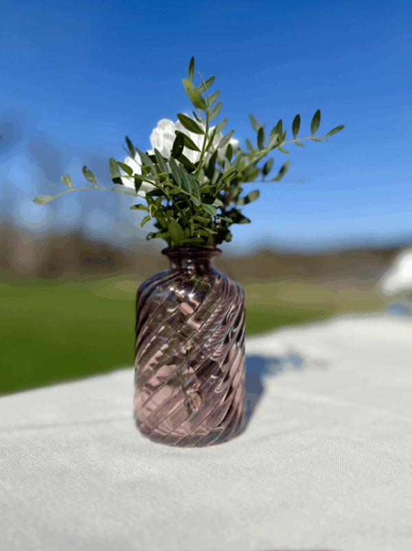 Vase rose