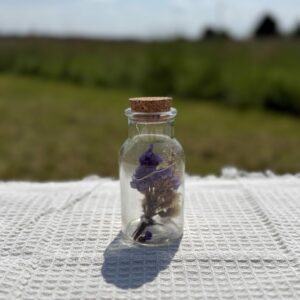 Fiole en verre lumineuse avec fleurs séchées